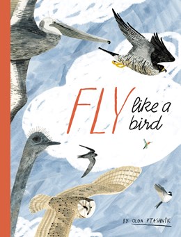 What If I Never Fly? – Imaginary Elevators